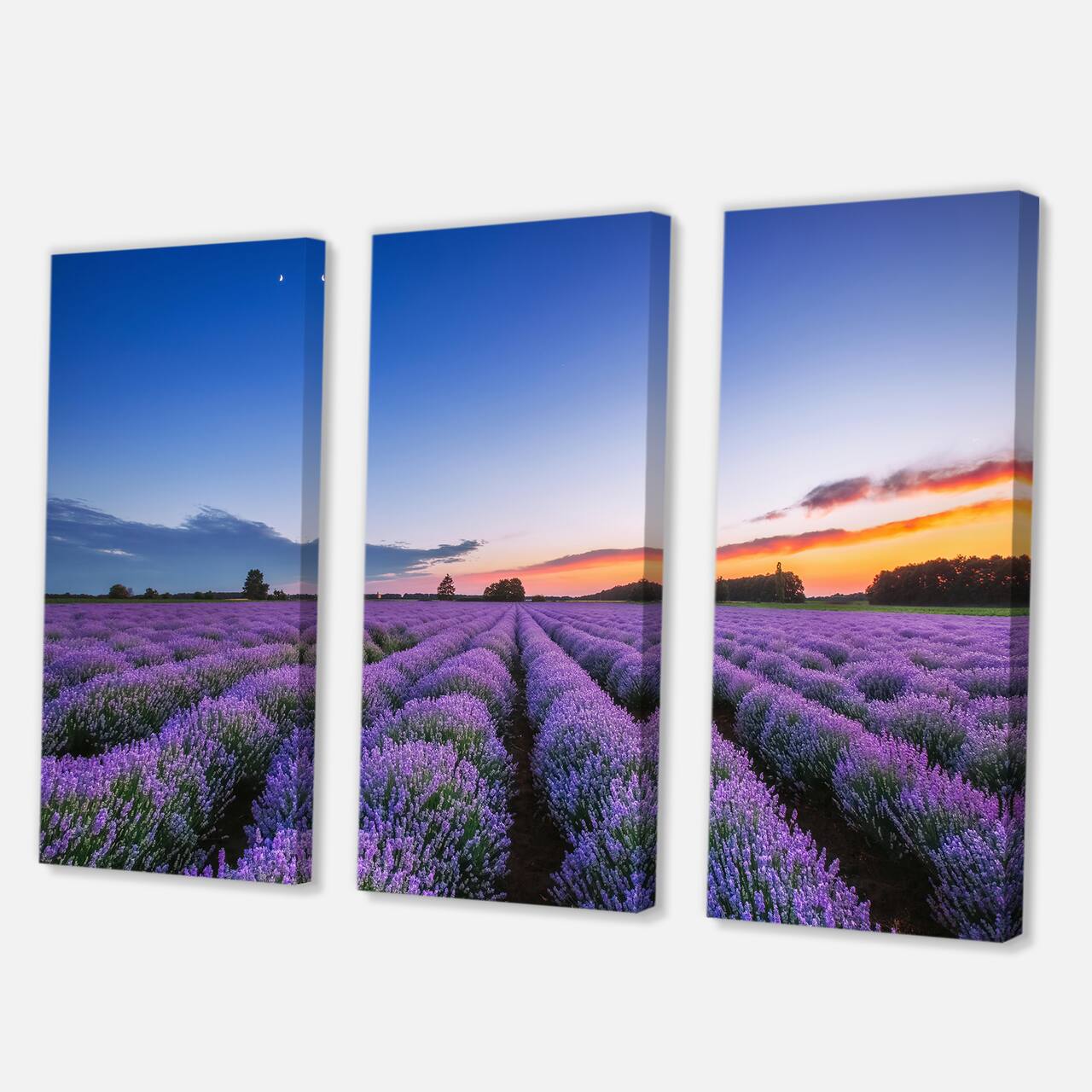 Designart - Sunrise & Dramatic Clouds Over Lavender Field I - Farmhouse Canvas Wall Art Print